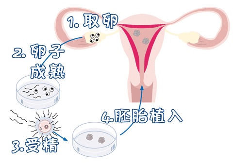 男科